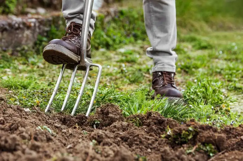 Garden Fork