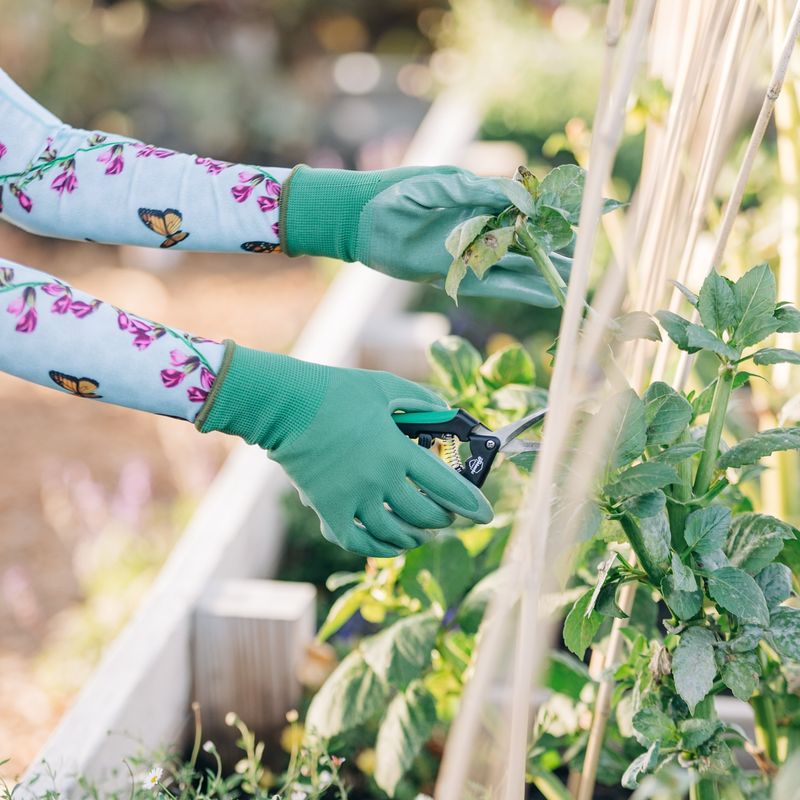 Garden Gloves