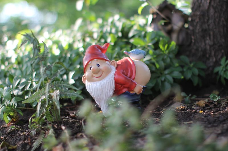 Garden Gnomes