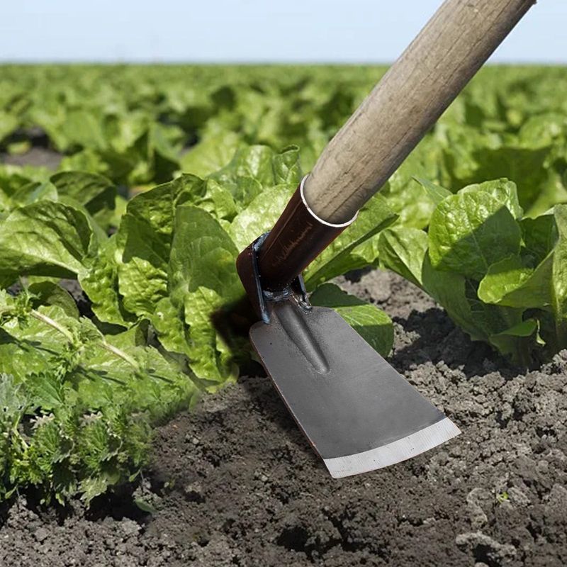Garden Hoe