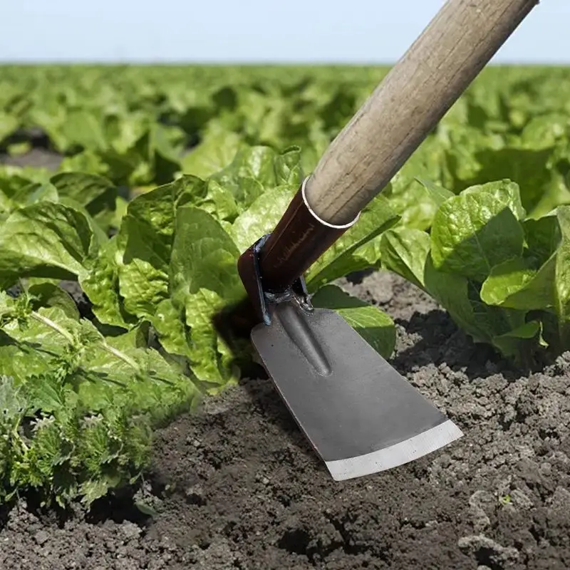 Garden Hoe