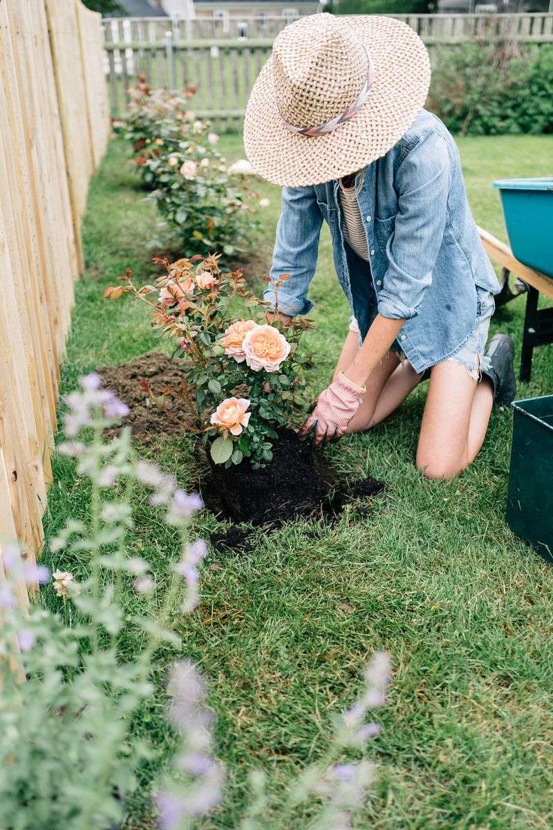 Garden Planning