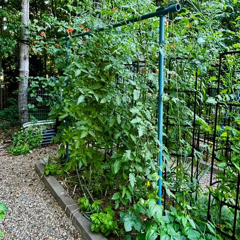 Garden Twine