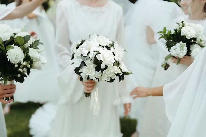 Gardenias