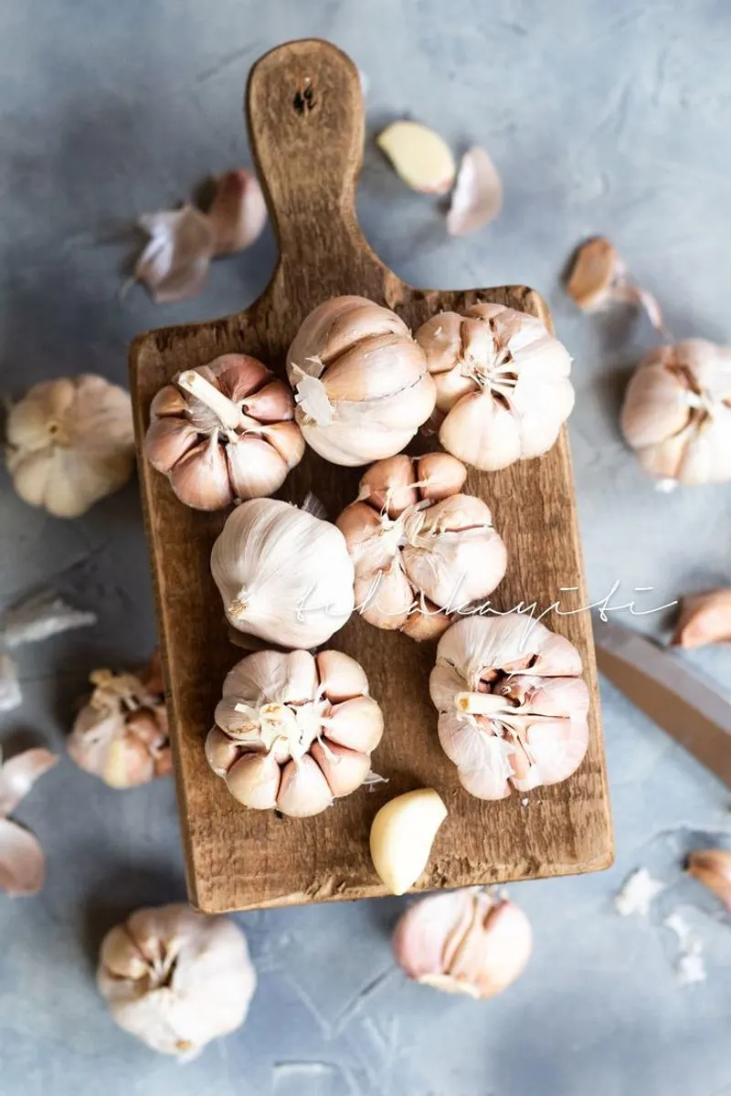 Garlic