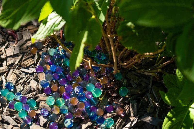 Gel Beads for Water Retention