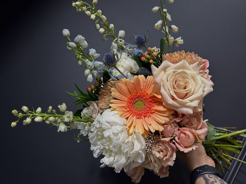 Gerbera Daisies