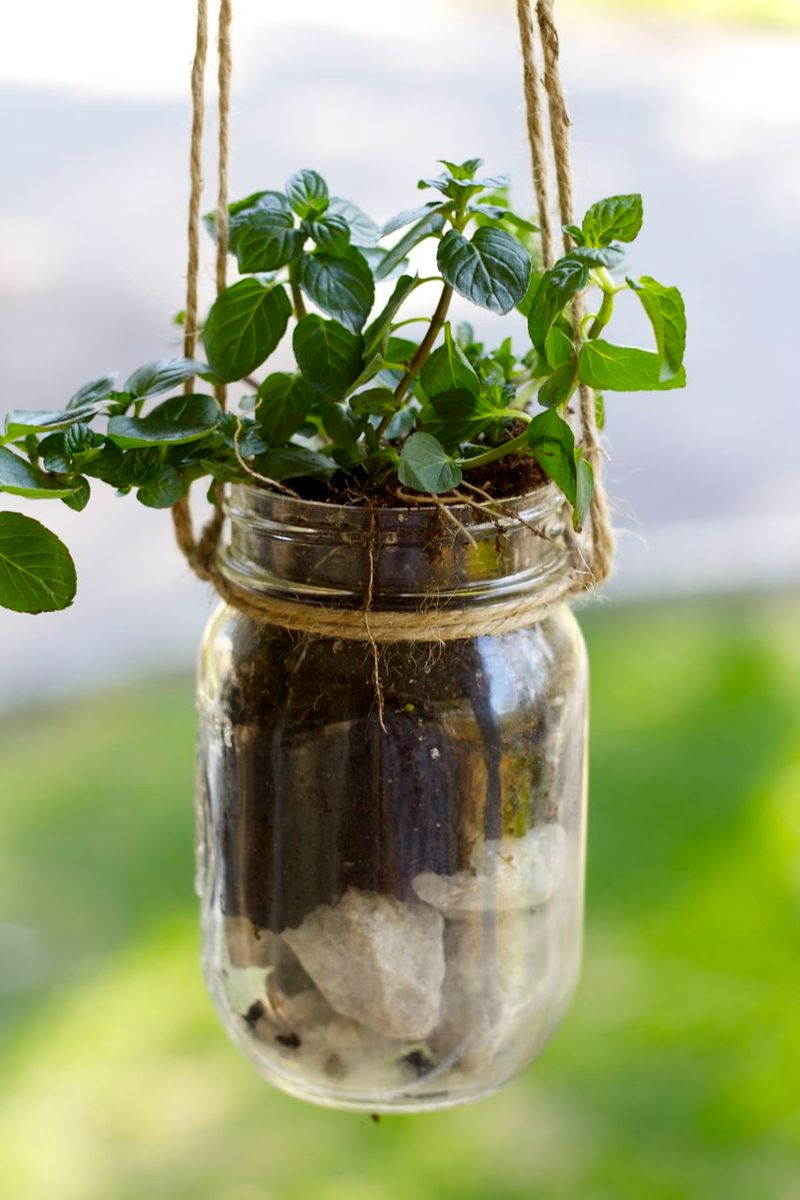 Glass Jar Planters