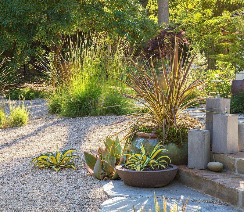Grass Alternatives