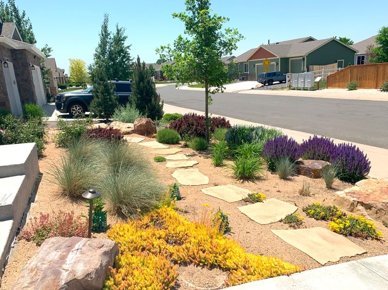 Xeriscape Gravel Gardens