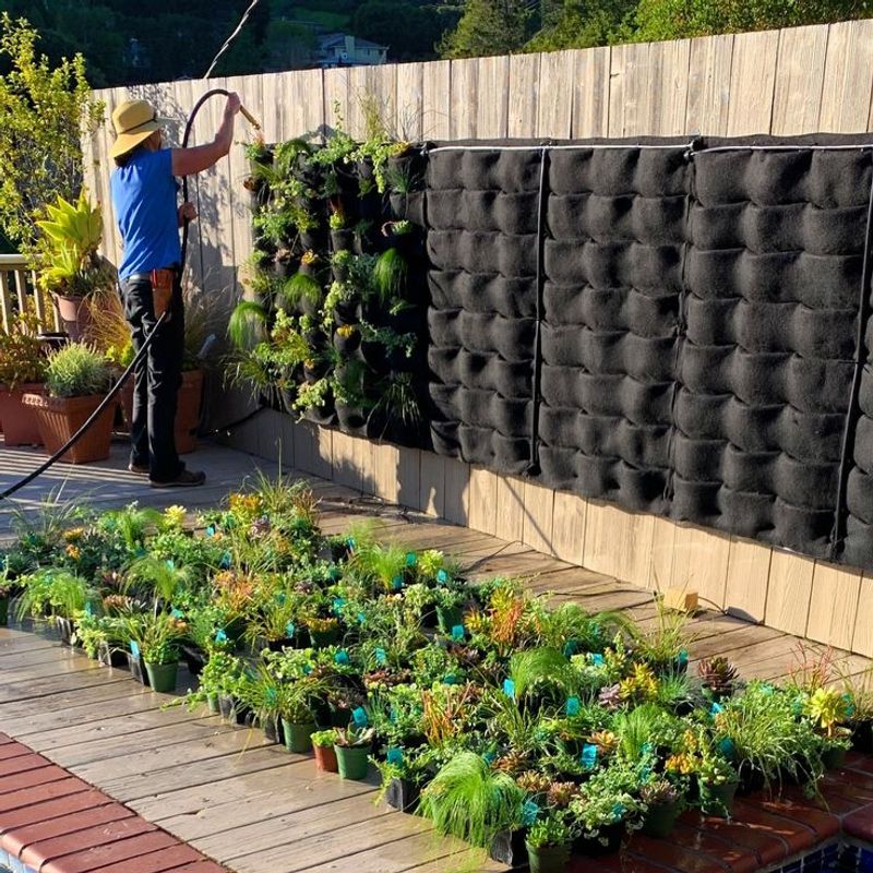 Living Walls with Native Plants