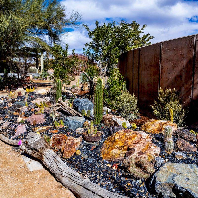 Rock Mulch in Cactus and Succulent Beds