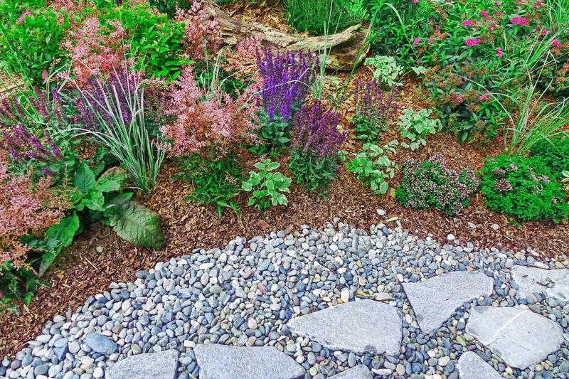 Gravel Replacing Greenery
