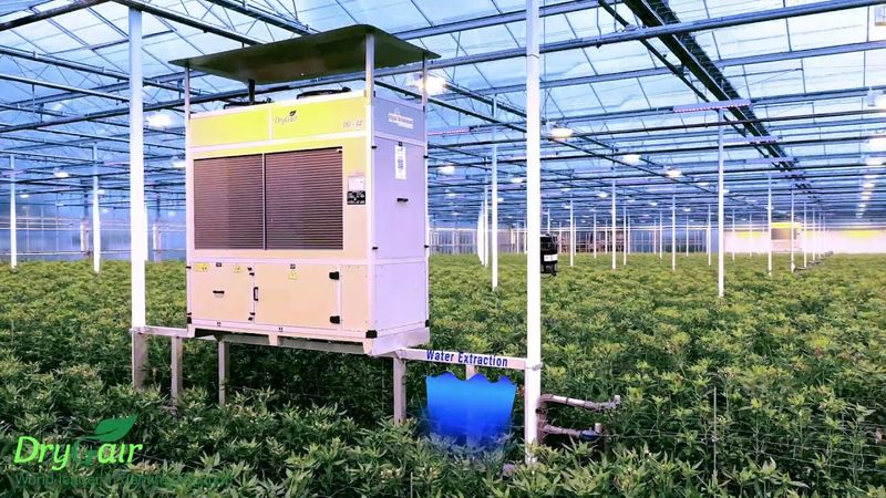 Greenhouse Humidity Control