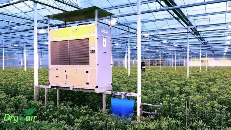 Greenhouse Humidity Control