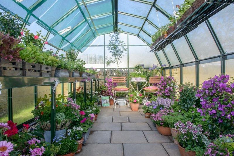Greenhouse