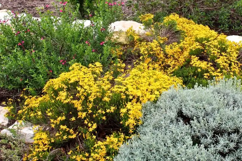 Group Plants with Similar Needs