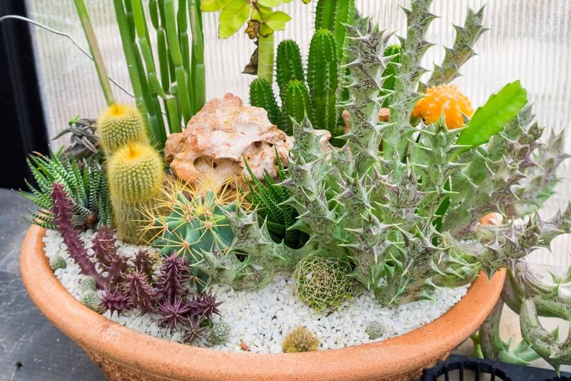 Grouping Plants