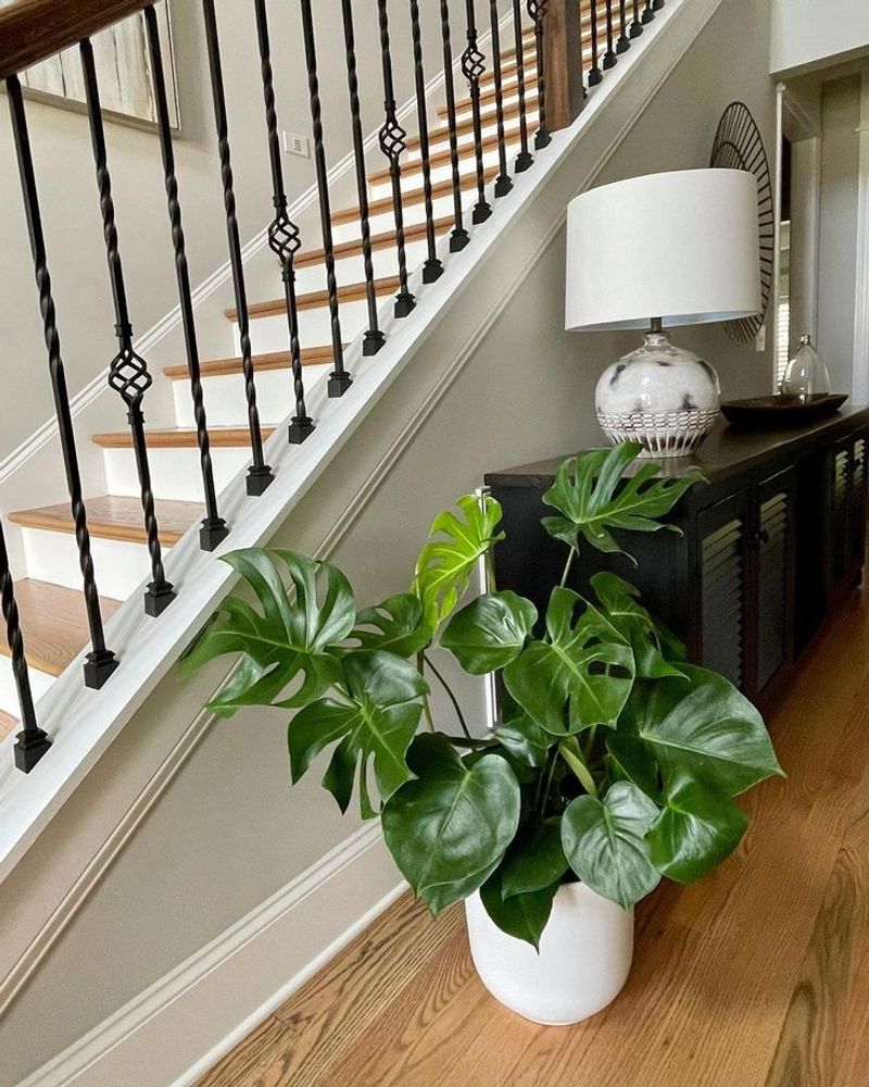 Hallway Corner