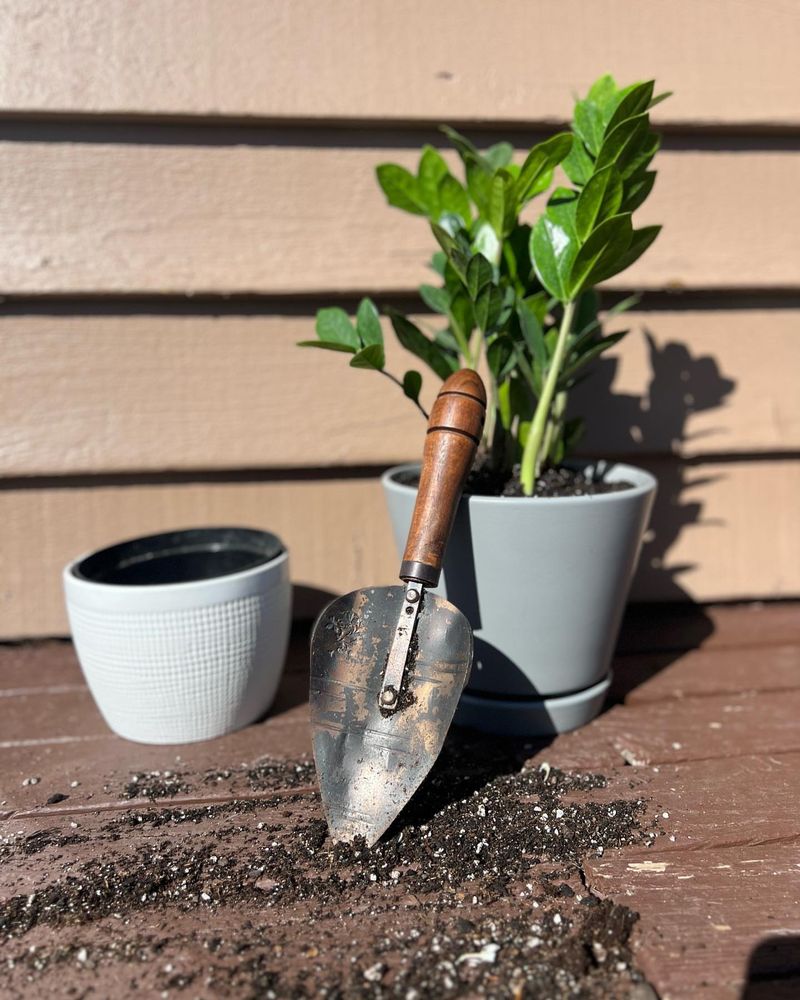 Hand Trowel