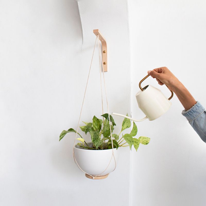 Hang Plants Using Wall Hooks