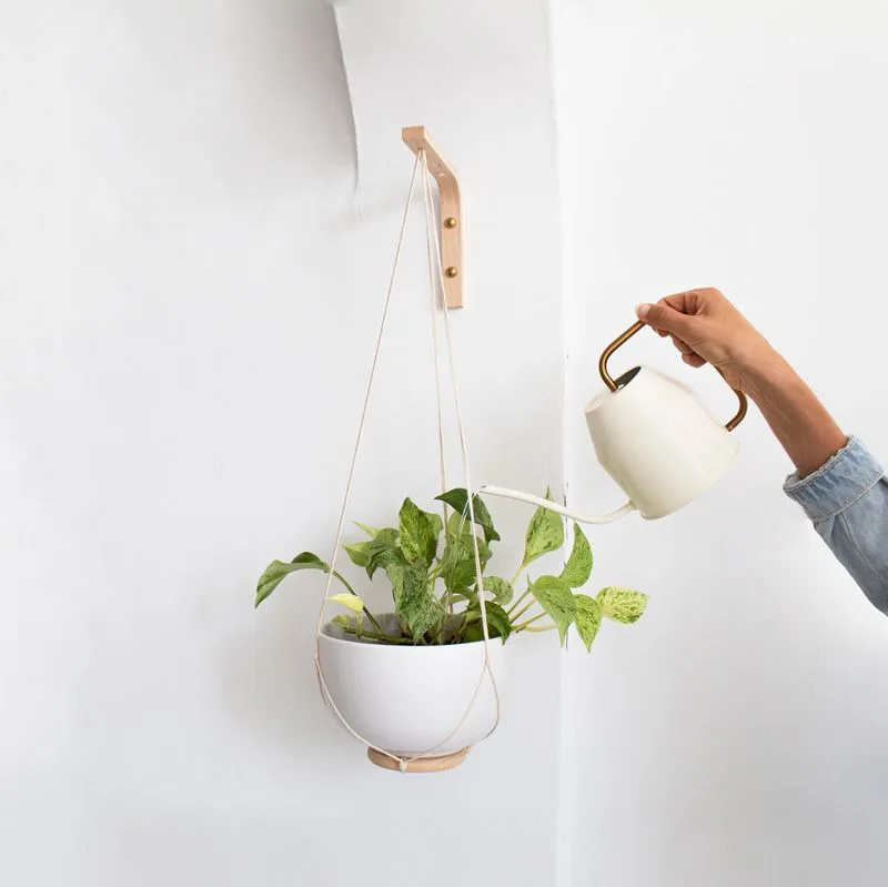 Hang Plants Using Wall Hooks