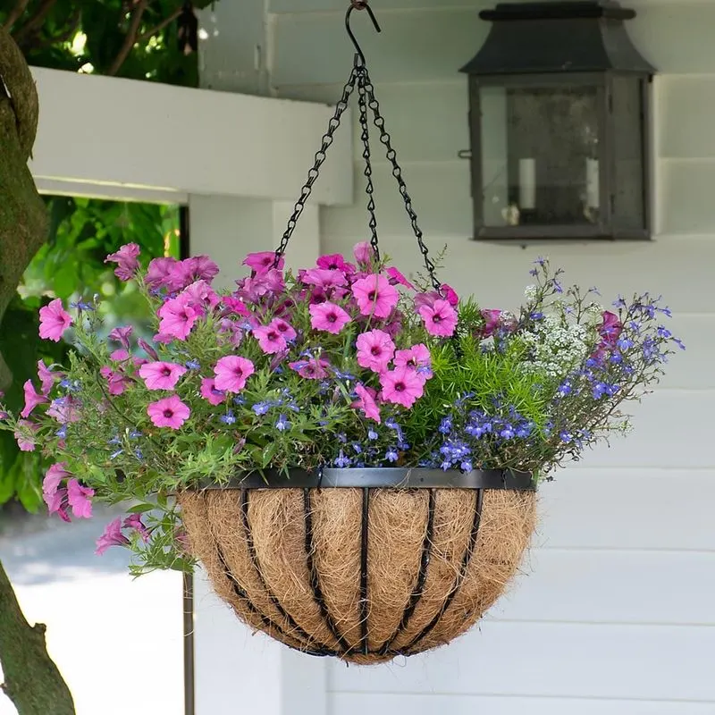Hanging Baskets
