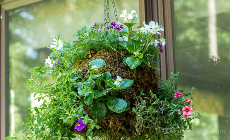 Hanging Globe Planters