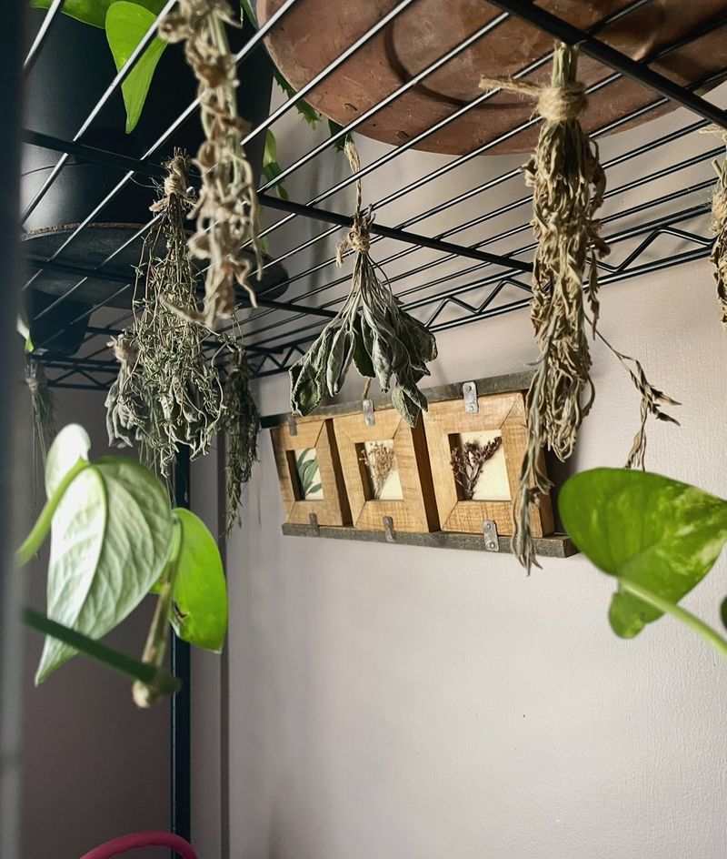 Hanging Herb Dryers