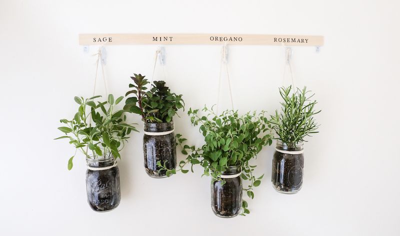 Hanging Mason Jar Planters