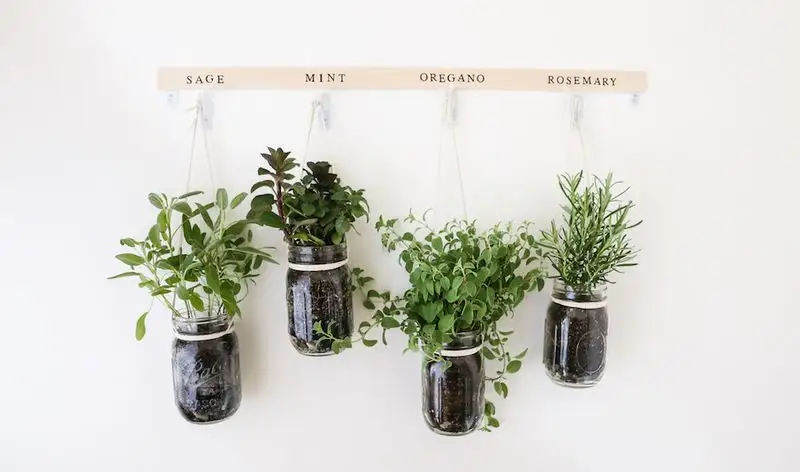 Hanging Mason Jar Planters