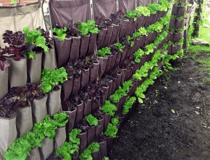 Hanging Shoe Organizer Garden