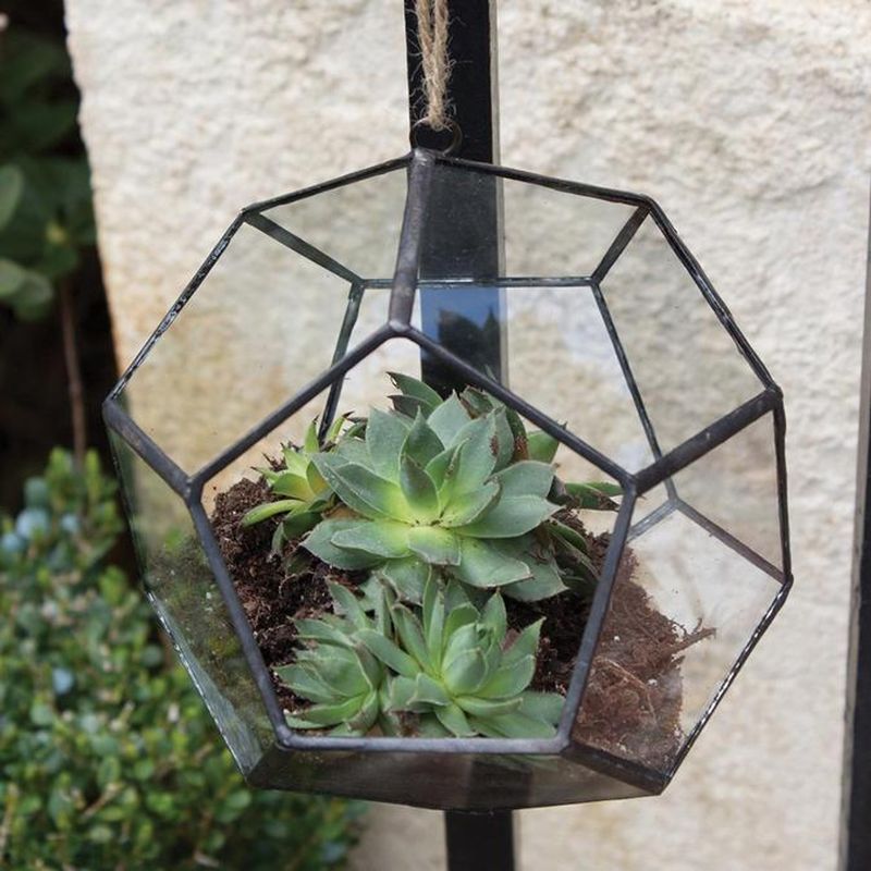 Hanging Terrariums