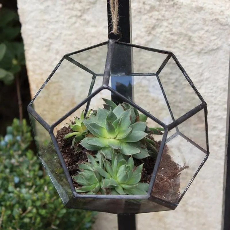 Hanging Terrariums