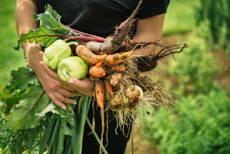 Harvesting