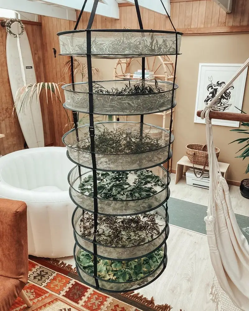 Herb Drying Racks