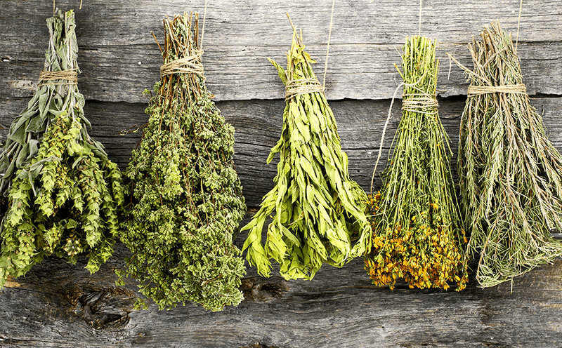 Herb Drying and Preservation