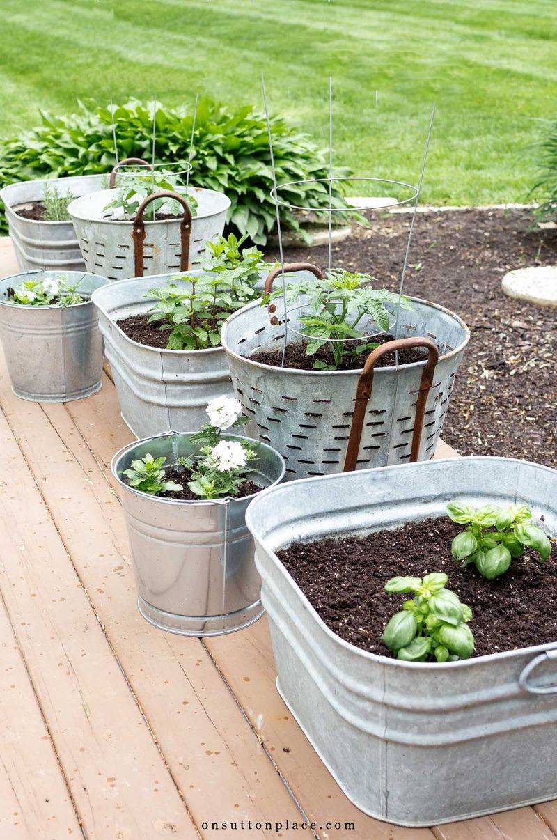 Herb Garden