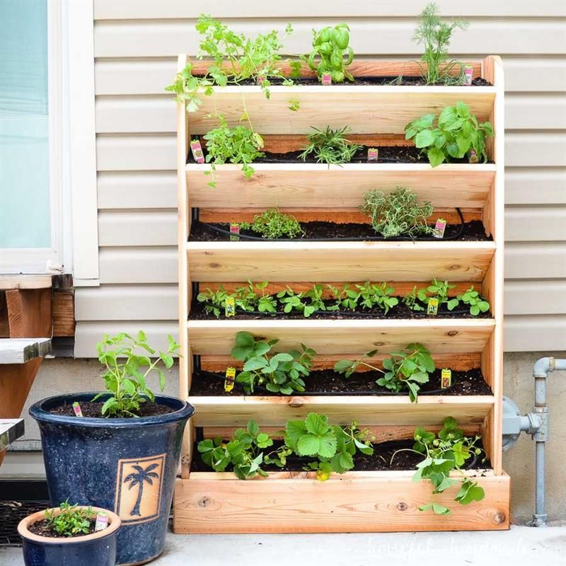 Herb Garden Wall