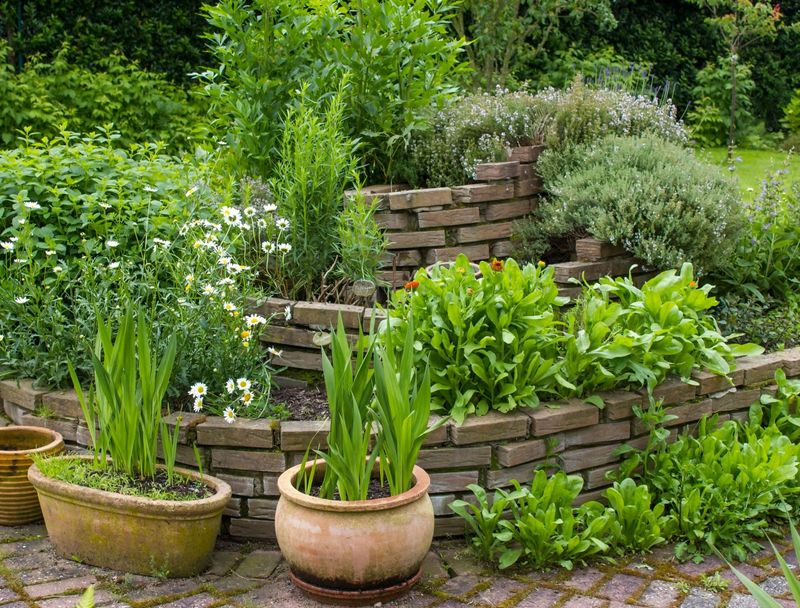 Herb Spiral Garden