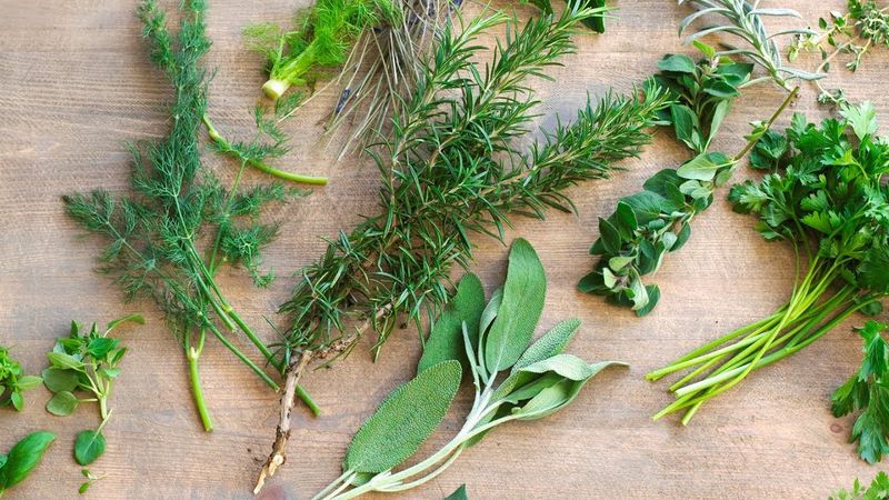 Herb Stems