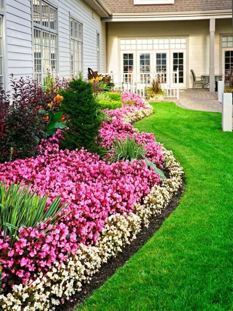 Herbaceous Border