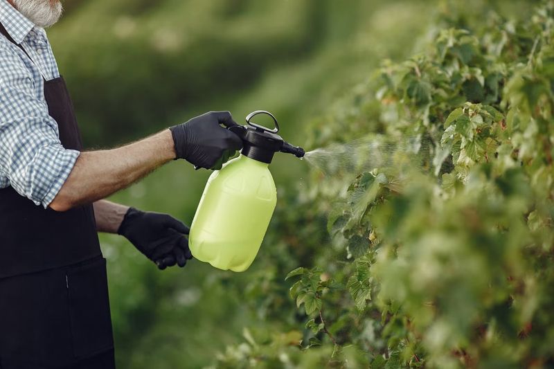 Herbal Foliar Sprays