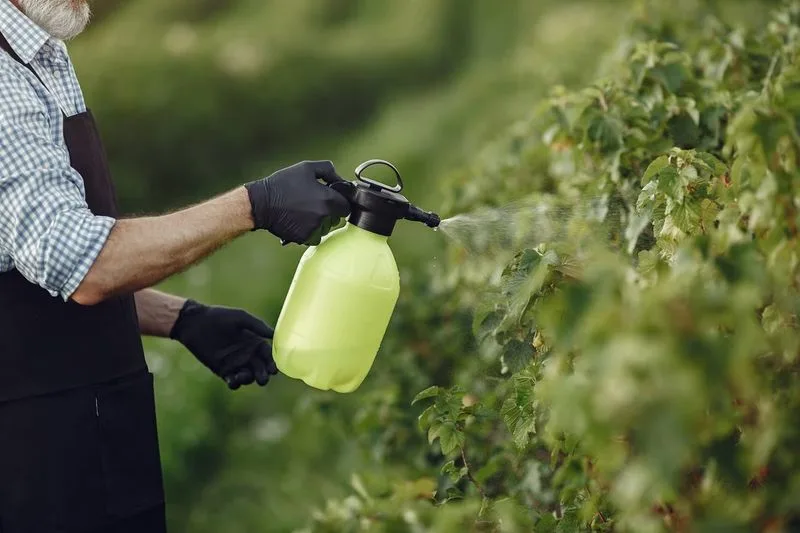 Herbal Foliar Sprays