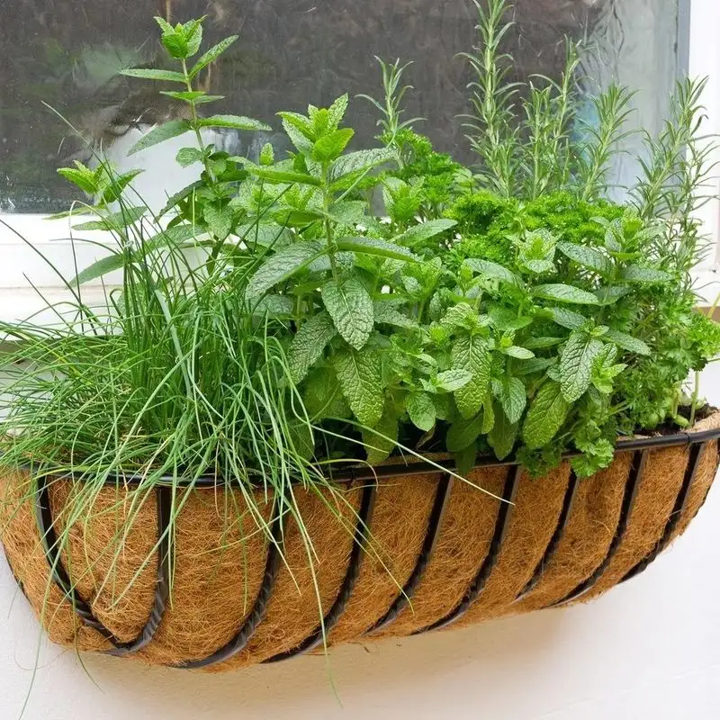 Herbs