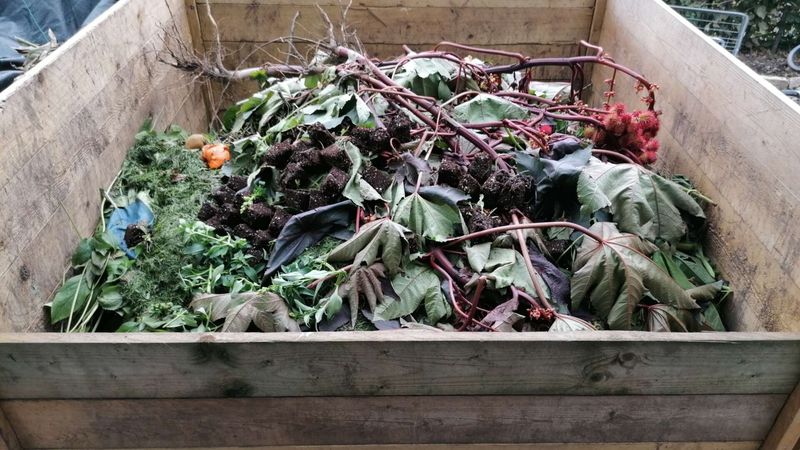 Homemade Composting