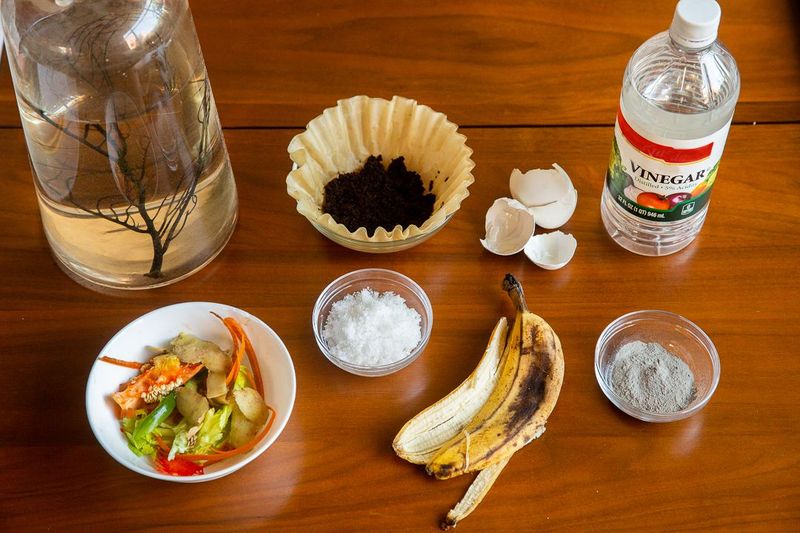 Homemade Fertilizers