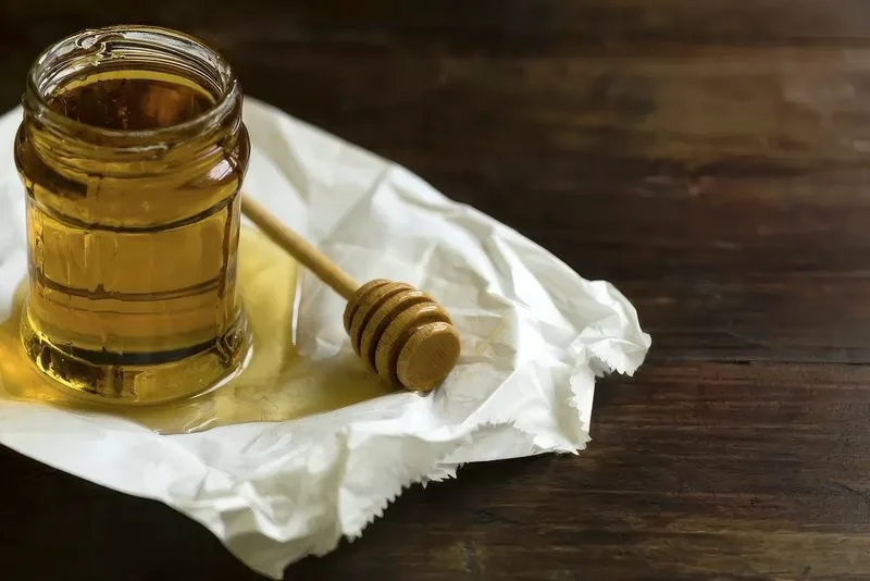 Honey for Rooting Cuttings