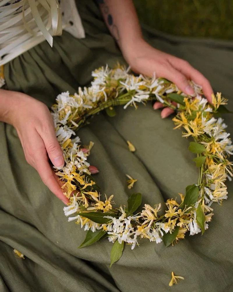 Honeysuckle