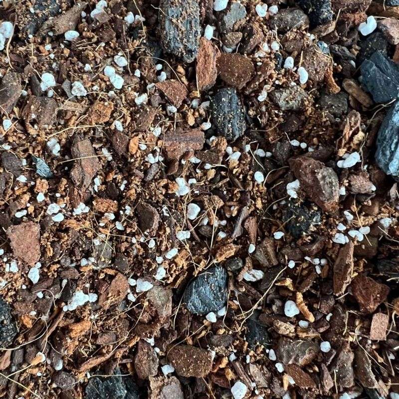 Charcoal and Soil Mix